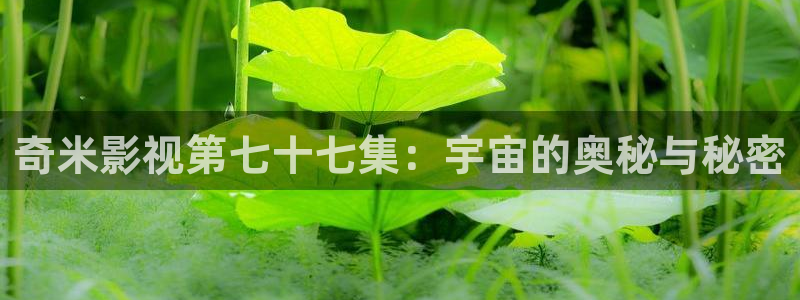 yy6096青苹果影院