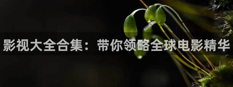 航海王青苹果影院